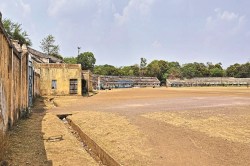 CG News: दुर्ग में होगा अंतरराष्ट्रीय क्रिकेट मैच, स्टेडियम देखने पहुंचेगी
बीसीसीआई की टीम - image