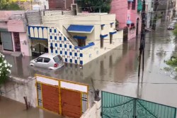 CG News: रायपुर में भारी बारिश प्रोफेसर कॉलोनी में जलभराव, देखें वीडियो - image