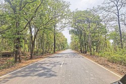 CG News: लाल आतंक का था खौफ, अब विकास व शिक्षा की राह पर है मानपुर, नक्सली घटना
में 29 जवान हुए थे शहीद - image