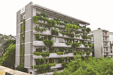 Raipur News: रायपुर में हरियाली का नया ट्रेंड, वर्टिकल और रूफ टॉप गार्डनिंग का बढ़ता क्रेज