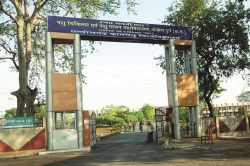 CG News: नहीं हो पाएगी कामधेनु विवि के नए वेटनरी कॉलेज की शुरुआत, अगले साल भी
संभावना कम - image