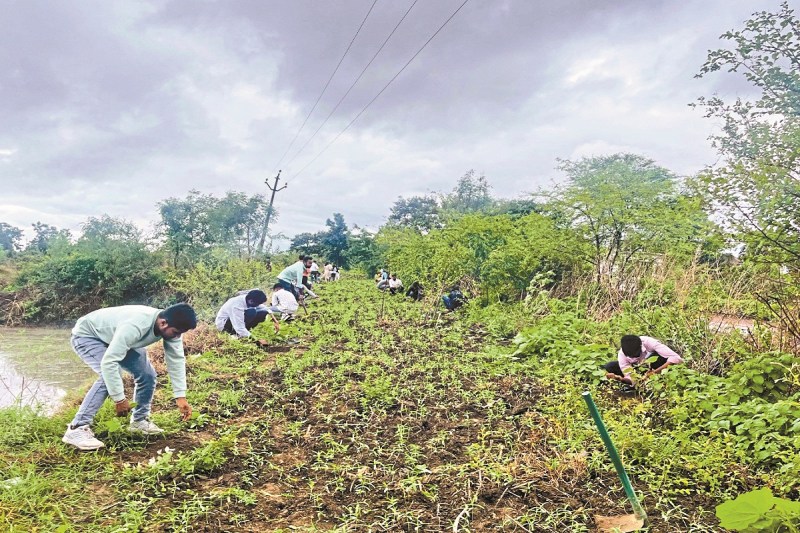 CG News: कृषि महाविद्यालय में विदाई के दौरान पौधरोपण, पासआउट छात्र-छात्राओं के लिए गरिमामय आयोजन