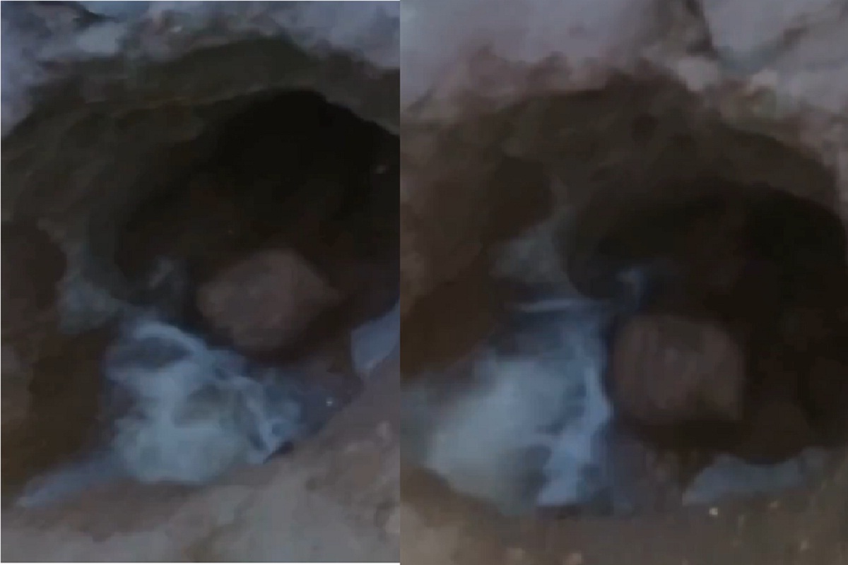 गड्ढे में समा गया तालाब का पानी, लोग मान रहे प्राकृतिक चमत्कार, देखें Video