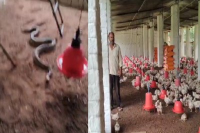 Short video poster image