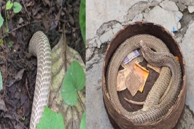 Short video poster image