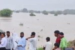 chambal river