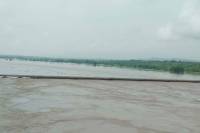 chambal river