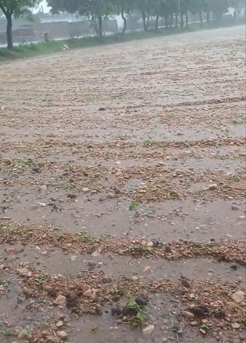 crop destroy in rain