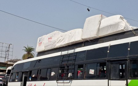 buses