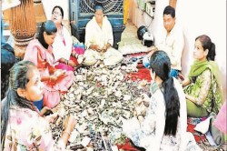 बेटी को सही राह दिखाने माता को पत्र.. मां दंतेश्वरी मंदिर की दानपेटी में मिले कई
भावुक चिट्ठी - image