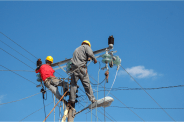 mp electricity board linemen job vacancy 2025