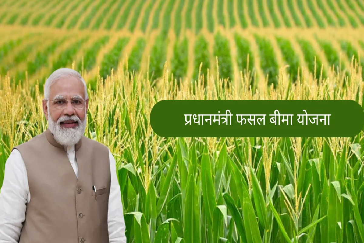 fasal bima yojana: फसल बीमा योजना को लेकर बड़ी खबर, चक्रव्यूह में फंसे 9 लाख से
अधिक किसान