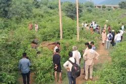 Rajasthan: जमीन में फैले करंट से 6 भैंस की मौत, चरवाहा बाल-बाल बचा, ग्रामीणों
में आक्रोश - image