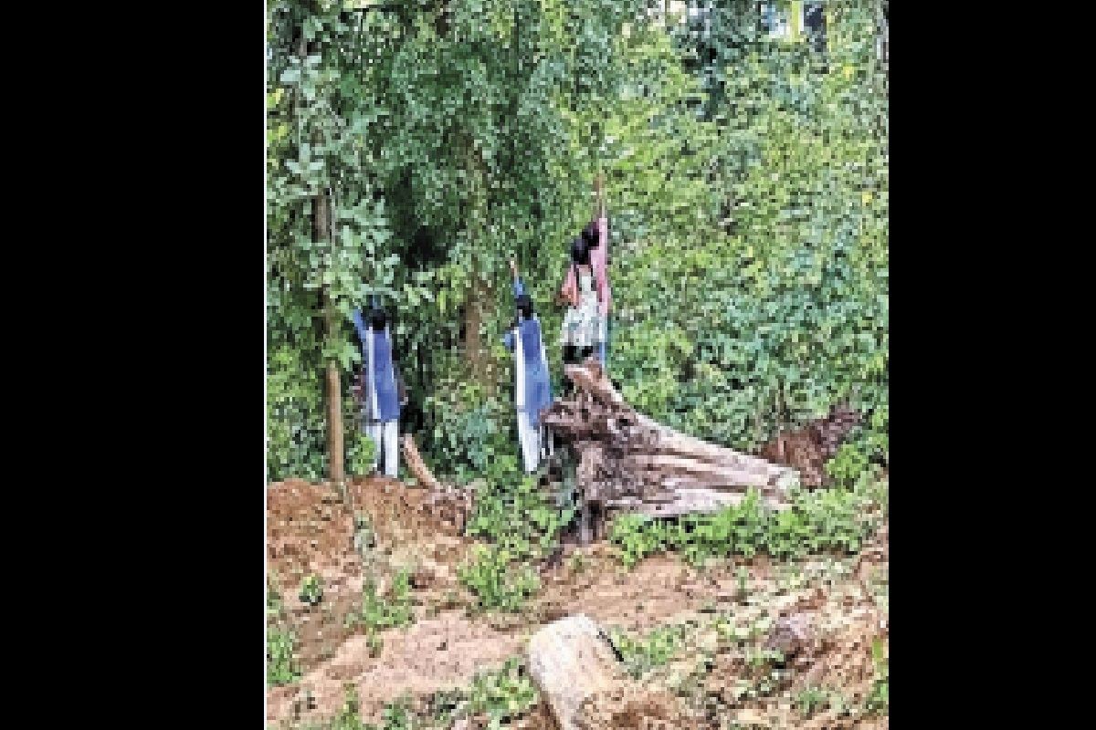 CG News: बिना आदेश के अवकाश की घोषणा, स्कूल के बंद होने से मची खलबली, जारी हुआ
नोटिस