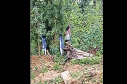 CG News: बिना आदेश के अवकाश की घोषणा, स्कूल के बंद होने से मची खलबली, जारी हुआ
नोटिस - image