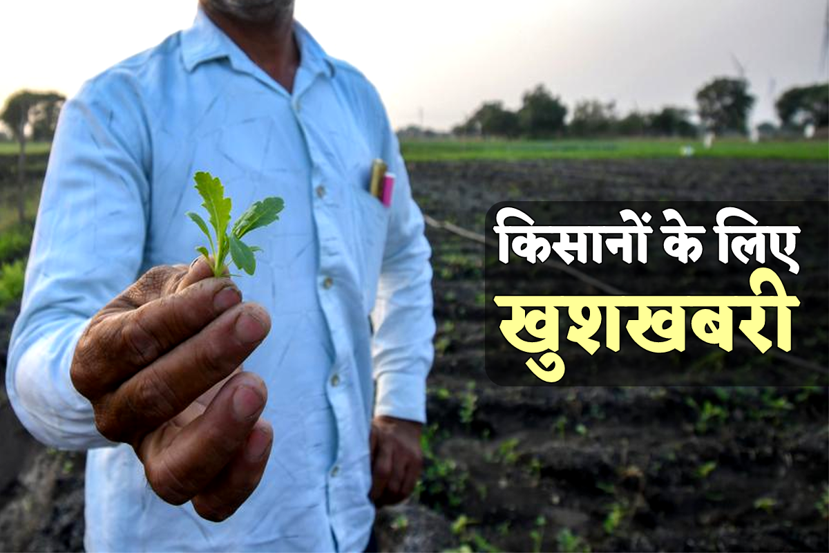 अफीम किसानों के लिए बड़ी खुशखबरी, यहां बनेगा नया प्लांट, 3 साल में किसानों की
संख्या होगी ढाई लाख पार