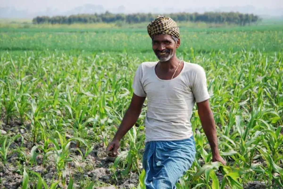 PM Dhan Dhanya Krishi Yojana: 100 जिलों के किसानों की हो गई बल्ले-बल्ले! PM की
नई घोषणा से बदल जायेगा बहुत कुछ