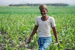 PM Dhan Dhanya Krishi Yojana: 100 जिलों के किसानों की हो गई बल्ले-बल्ले! PM की
नई घोषणा से बदल जायेगा बहुत कुछ - image