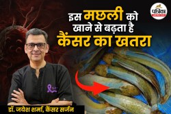 Thai Magur: क्या सच में इस मछली को खाने से होता है कैंसर, जानिए कैंसर के डॉक्टर
ने क्या कहा - image