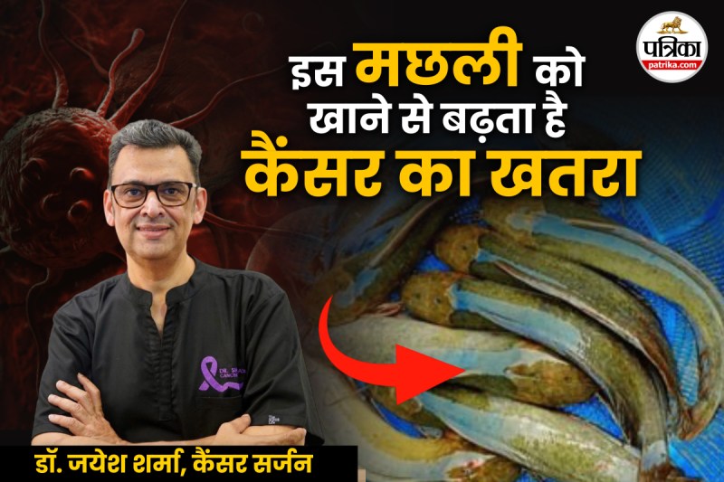 poisonous fish, dangers fish , Thai Magur,