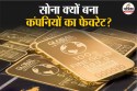 Gold के पीछे क्यों भाग रही हैं कंपनियां? 5 साल में 800% बढ़ा दिया इन्वेस्टमेंट,
जानिए वजह