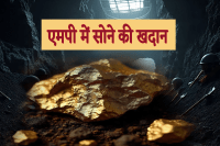 gold mine in mp