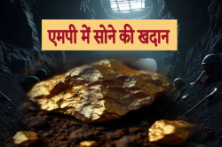 एमपी के इस जिले में 3.35 लाख टन ‘सोना’, शुरू होने वाली है खुदाई - image