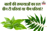 Green Tea vs Neem for Healthy Hair Care Routine फोटो सोर्स – Freepik