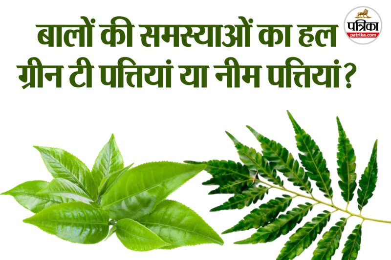 Green Tea vs Neem for Healthy Hair Care Routine फोटो सोर्स – Freepik