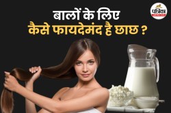 Buttermilk For Hair Care: छाछ से पाएं नेचुरल शाइन और सॉफ्ट बाल - image