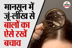 Monsoon Hair Care Tips: मानसून में स्कैल्प की गंदगी बन सकती है जूं और लीख का घर,
अपनाएं ये 3 कारगर घरेलू उपाय - image