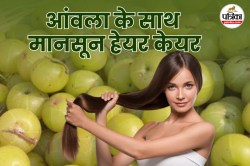 Amla Hair Care Tips: मानसून में डैंड्रफ, हेयर फॉल और चिपचिपे स्कैल्प से पाना है
छुटकारा, अपनाएं आंवला के 5 असरदार नुस्खे - image