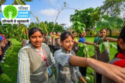 जयपुर में ‘हरियाळो राजस्थान’ अभियान का आगाज, धरती मां को ओढ़ाया हरियाली का आंचल,
मौके पर गूंजे पर्यावरण संरक्षण के नारे - image