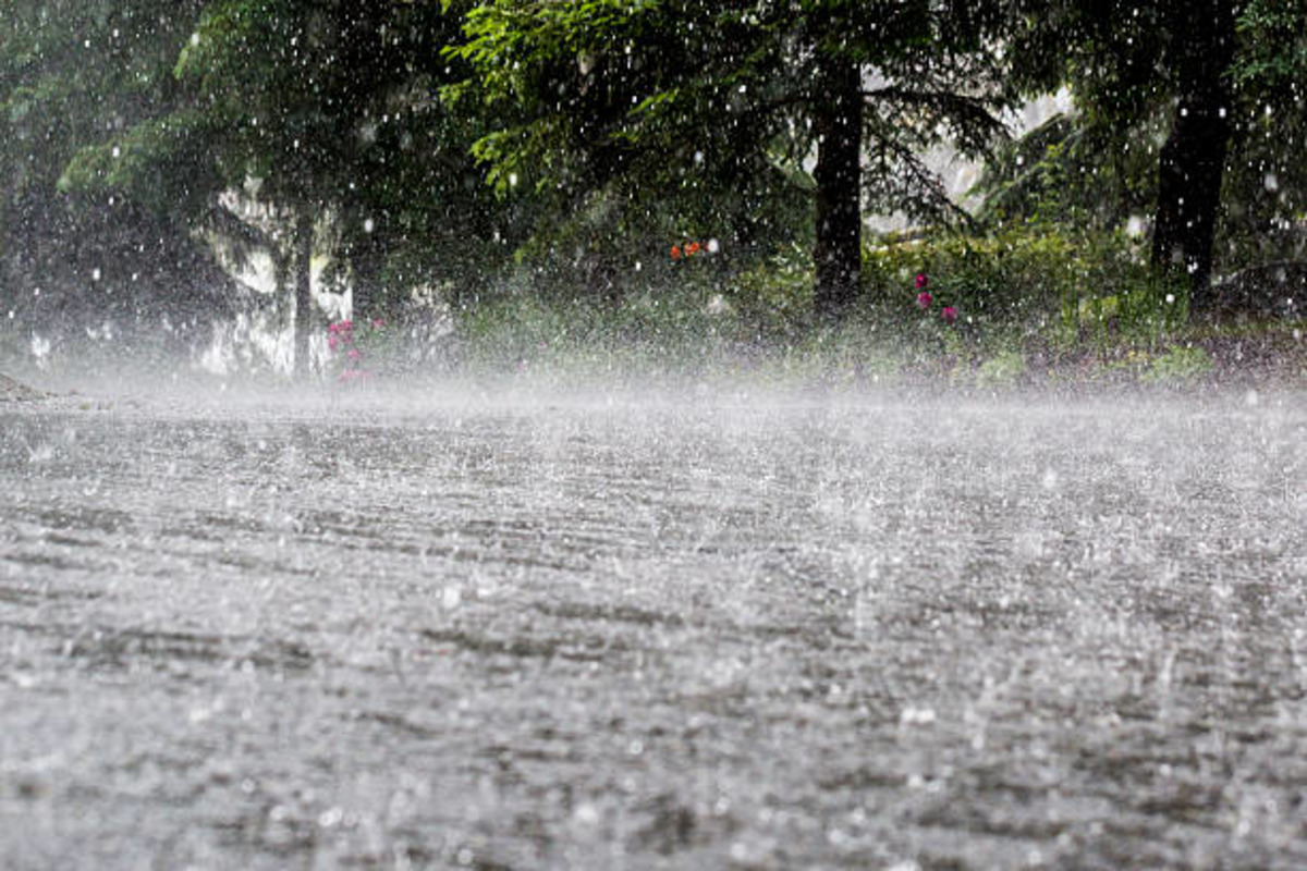 Monsoon: सात दिनों तक भारी बारिश-बिजली गिरने का अलर्ट, IMD का डबल अलर्ट जारी