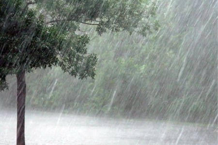 Heavy Rain Warning