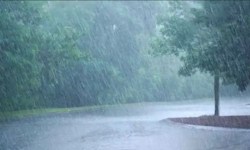 मानसून की रफ्तार बरकरार: अगले 6 दिन होगी भारी बारिश, इन राज्यों में जमकर बरसेंगे
बादल - image