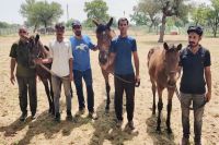 घोड़ों व स्टाफ के साथ करण विजय सिंह