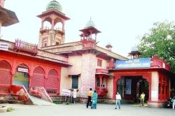 खेत में सांप के डसने से 11 वर्षीय बच्ची की मौत - image