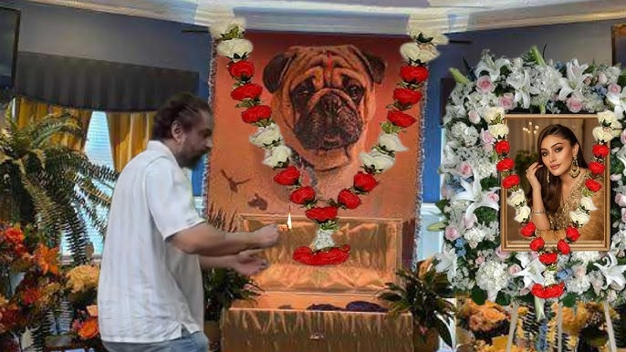 सिंबा के मरने की फैली थी झूठी खबर