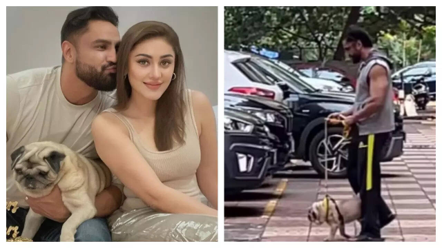 Paras Chhabra Reaction Parag And Dog Simba Video