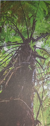 CG News: छत्तीसगढ़ के बस्तर में आज भी है शाकाहारी डायनसोर का खाना, पहाड़ियों पर फैला पांच सौ साल पुराना पेड़,
