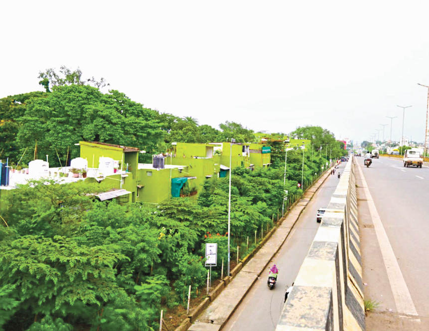 Raipur News: रायपुर में हरियाली का नया ट्रेंड, वर्टिकल और रूफ टॉप गार्डनिंग का बढ़ता क्रेज