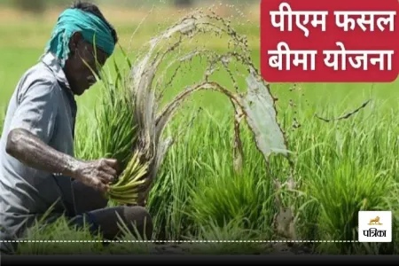 प्रधानमंत्री फसल बीमा योजना एवं पुनर्गठित मौसम फसल बीमा योजना, पत्रिका फोटो