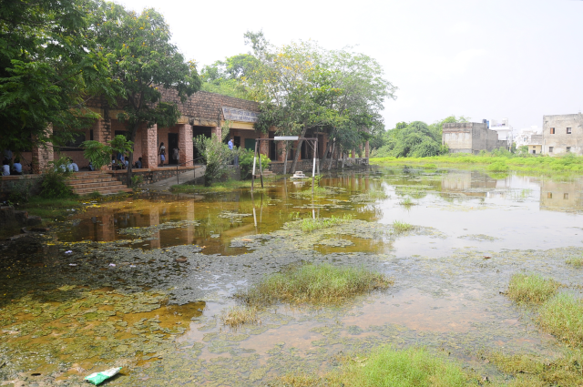 Rajasthan Sarkari School