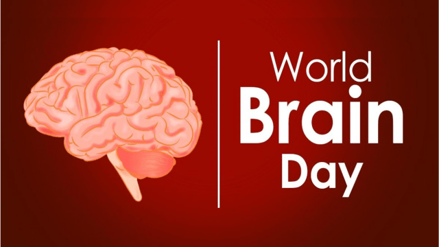 world brain day 