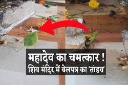 एमपी के शिव मंदिर में दिखा चमत्कार ! ‘तांडव’ करती बेलपत्र का वीडियो देखें.. - image