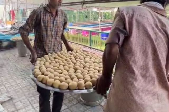 jaipur 3