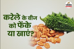 Karela Ka Beej: करेला का बीज फेंकना चाहिए या खाना, जानिए ये हेल्थ के लिए
फायदेमंद या नुकसानदेह - image