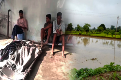 खेत में भरे पानी में डूबने से 3 सगे भाई-बहनों की मौत, गांव में पसरा मातम - image