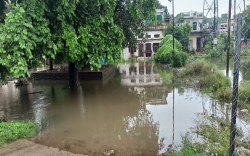 रियासतकालीन 11 में से 7 बचे तालाब, वो भी 309 अतिक्रमण से तोड़ रहे दम, बारिश से
खुली कब्जे की पोल - image